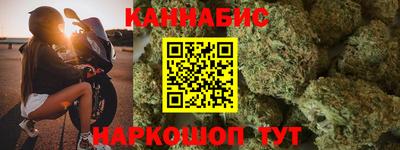 индика Рузаевка