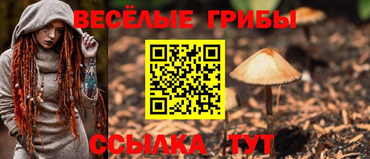 Псилоцибиновые грибы мухоморы  Вход с VPN  Реутов 