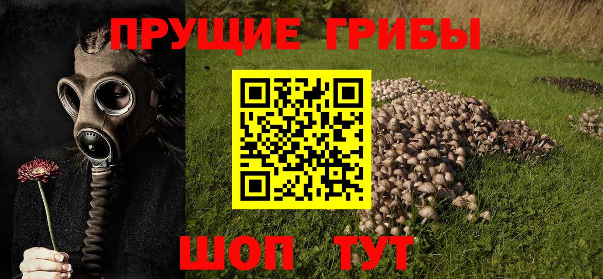 Меф мяу мяу Реутов